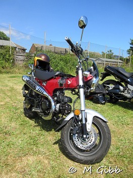 Sizewell Classics Show