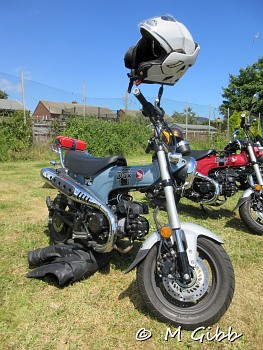 Sizewell Classics Show