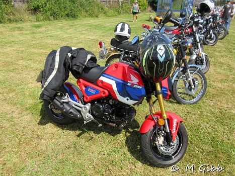 Sizewell Classics Show