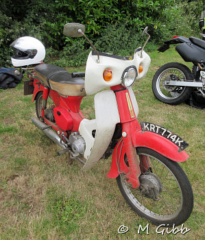 Friston Classics on the Green