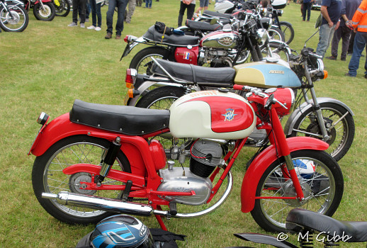 Friston Classics on the Green
