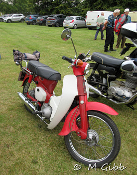 Friston Classics on the Green
