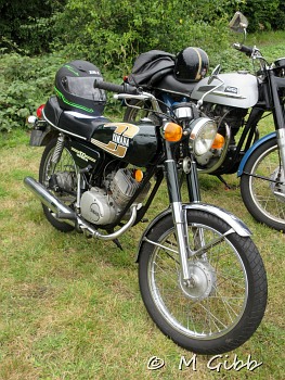 Friston Classics on the Green