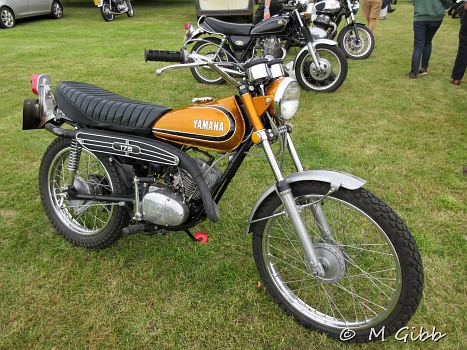 Friston Classics on the Green
