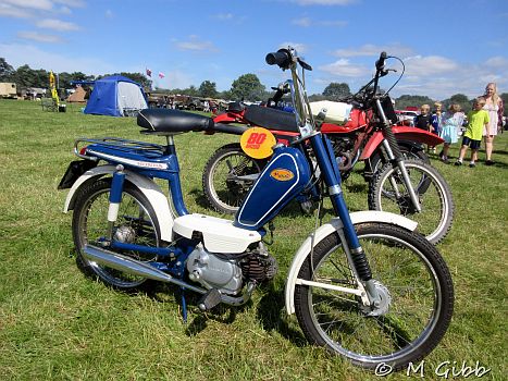 Weeting Steam Rally
