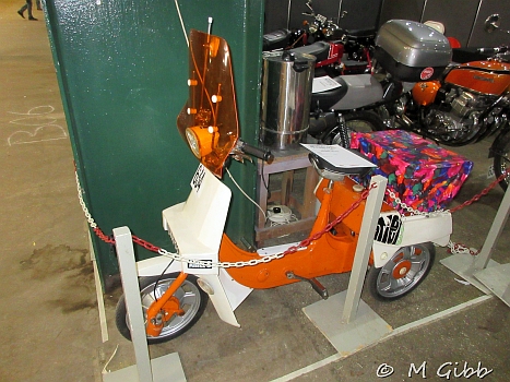 Stafford Show, 2025