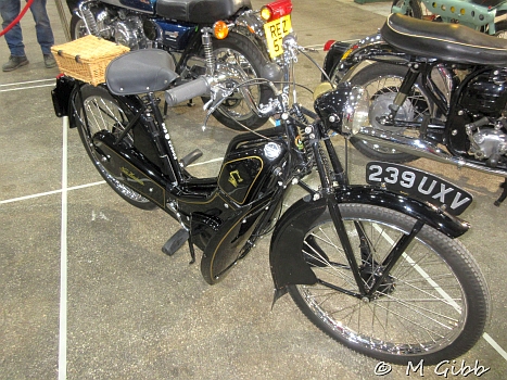 Stafford Show, 2025