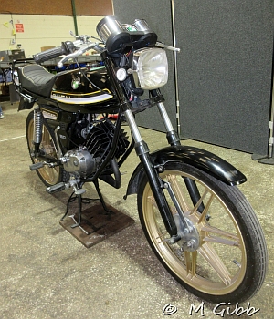 Stafford Show, 2025