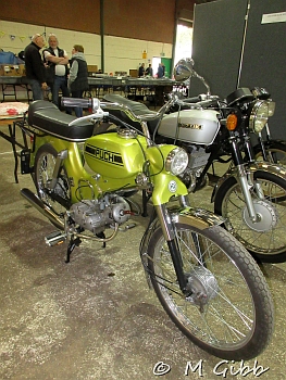 Stafford Show, 2025