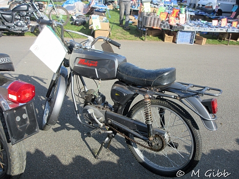 Stafford Show, 2025