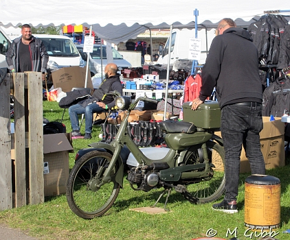 Stafford Show, 2025