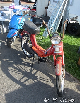 Stafford Show, 2025