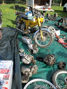 Stafford Show, 2025