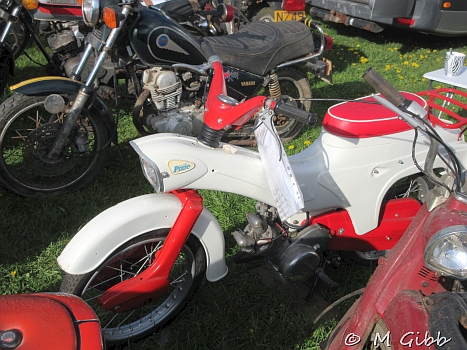 Stafford Show, 2025