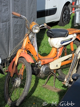 Stafford Show, 2025
