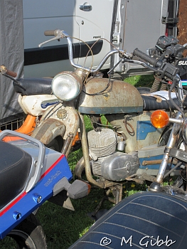 Stafford Show, 2025