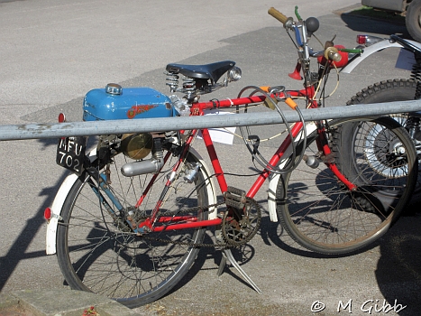 Stafford Show, 2025