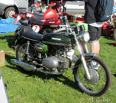 Stafford Show, 2025