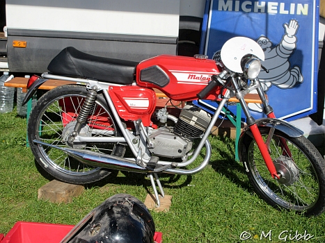Stafford Show, 2025