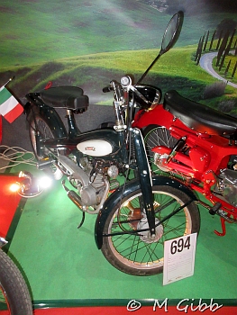 Stafford Show, 2025