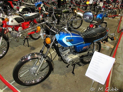 Stafford Show, 2025