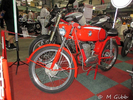Stafford Show, 2025