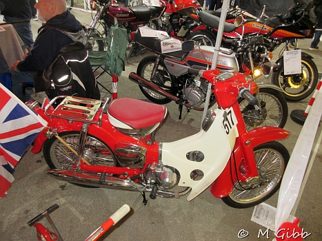 Stafford Show, 2025