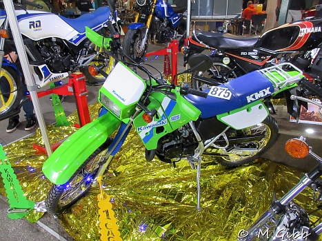 Stafford Show, 2025