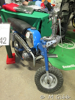 Stafford Show, 2025