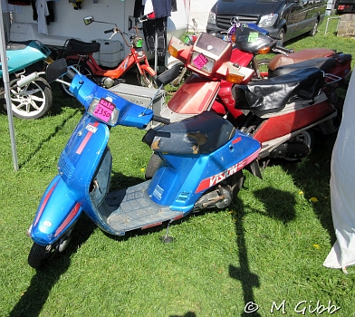 Stafford Show, 2025
