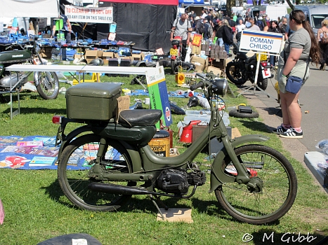 Stafford Show, 2025