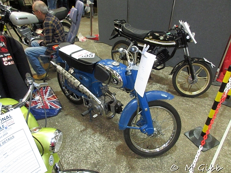 Stafford Show, 2025