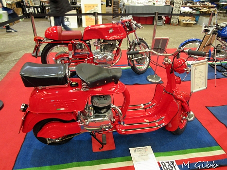 Stafford Show, 2025
