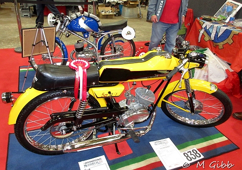 Stafford Show, 2025