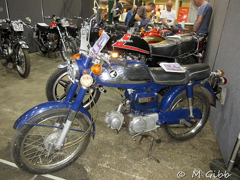 Stafford Show, 2025