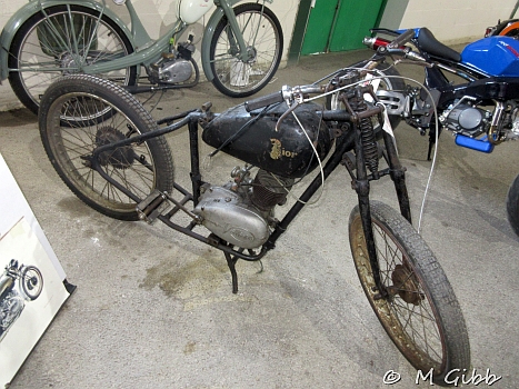 Stafford Show, 2025