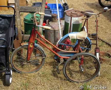 Weeting Steam Rally