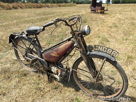 Weeting Steam Rally