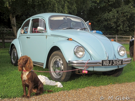 Classics at Horham