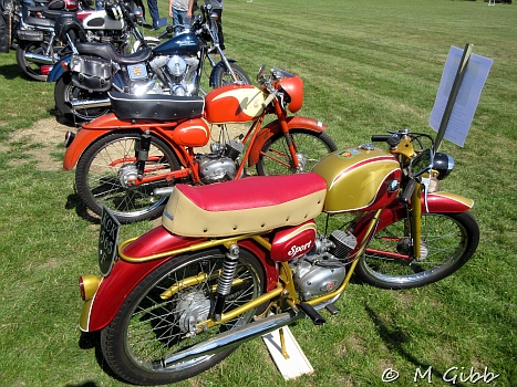Worlingworth Charity Bike Show