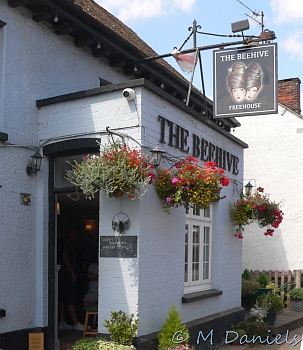 Periwinkle Run at Hare Street Beehive