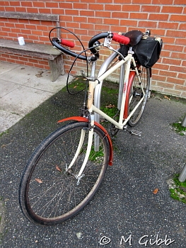 EACC Kneels Wheels Run