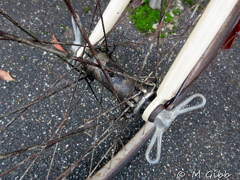 EACC Kneels Wheels Run