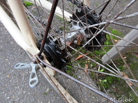 EACC Kneels Wheels Run