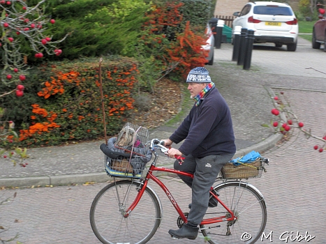 EACC Kneels Wheels Run