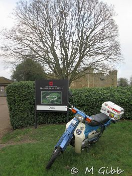 ECP Cold Turkey Run, 2025