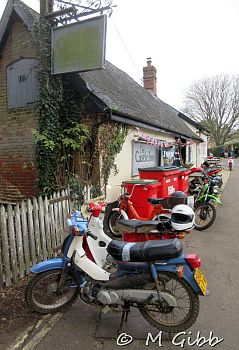 ECP Cold Turkey Run, 2025