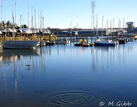 EACC Mince Pie Run, 2026