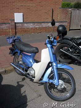 St George’s Day Show