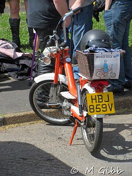 St George’s Day Show